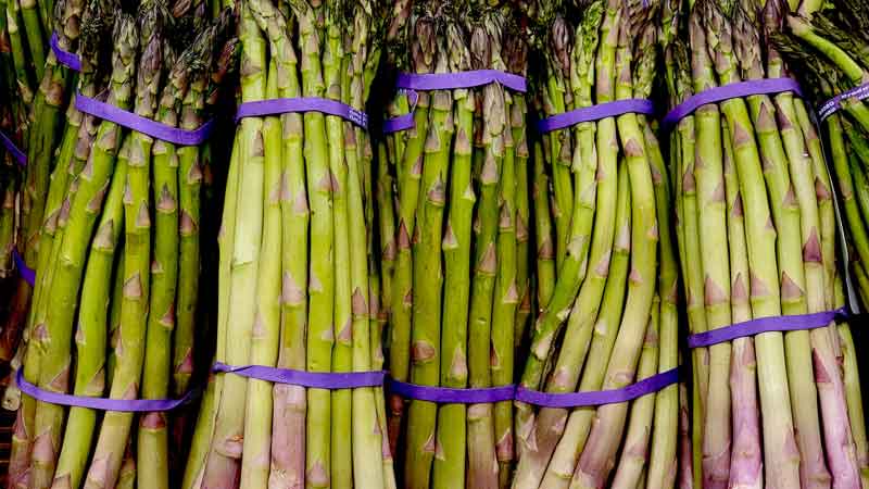 plantar espárragos